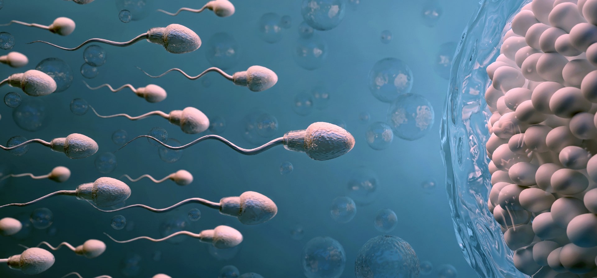 tratamiento infertilidad quito